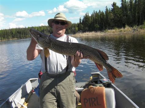 Biggest Northern Pike In Canada