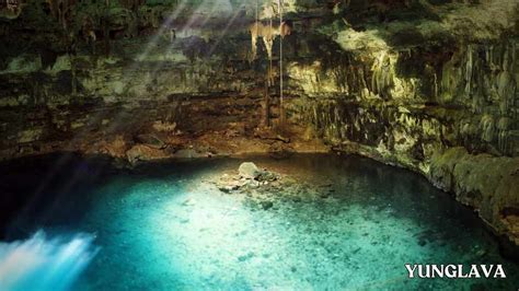 Exploring the Wildlife of Cenote Samula, Mexico: A Guide to Local Animals - yunglava