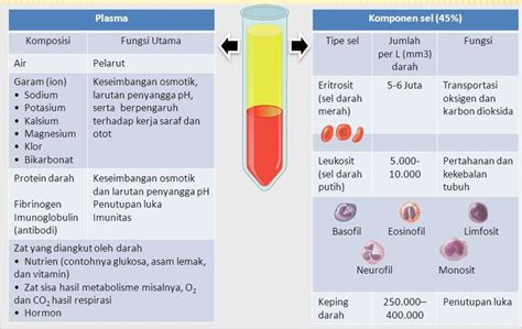 SISTEM PEREDARAN DARAH (Bagian 1: Komposisi Darah) - Belajar Asyik