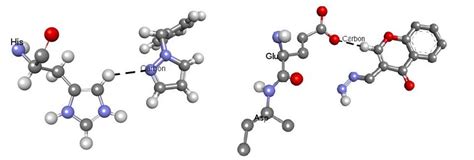 Examples of carbon hydrogen bond interaction. | Download Scientific Diagram