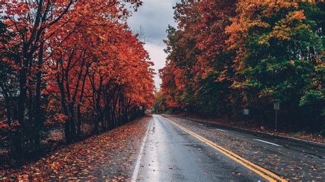 Fall Road Wallpaper