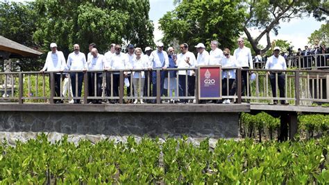 PM Modi plants mangroves in Taman Hutan Raya Ngurah Rai mangrove forest ...