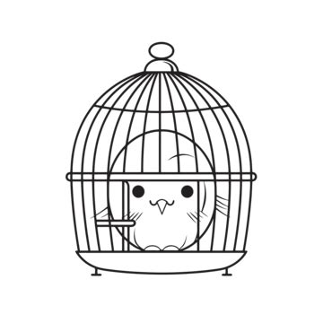 Bird Cage Drawing