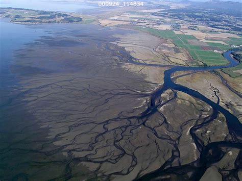 Puget Sound Nearshore Ecosystem Restoration Project