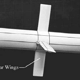 DoD's First MAV -- Kolibri Stabilator, Aircraft & in Flight | Download Scientific Diagram