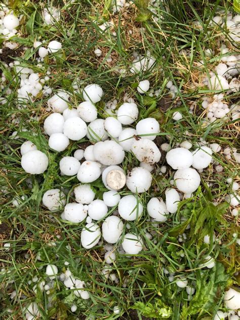 Colorado weather: Hail damage and tornado warnings along the Front ...