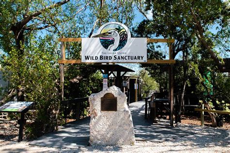 5 Sustainable Florida Keys Attractions You Don't Want to Miss - Bobo and ChiChi