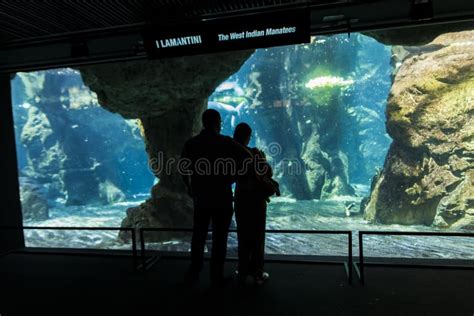 Aquarium of Genoa, Italy editorial stock photo. Image of museum - 100679983