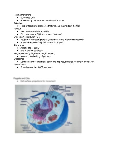 SOLUTION: Biology cell types and cell structure - Studypool