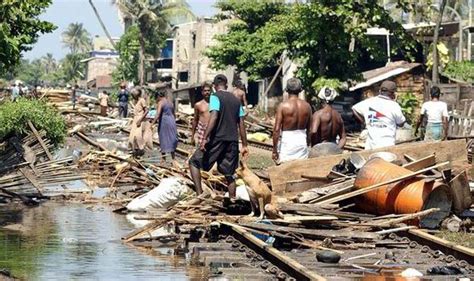 Rob and Paul Forkan founded Gandys after parents were killed in tsunami ...