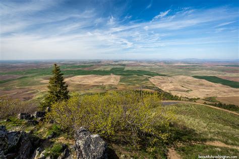 Steptoe Butte State Park