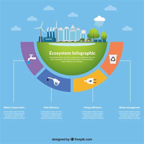 Ecosystem Infographic