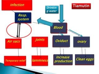 Study of Anti mycoplasmosis ,Drugs | PPT