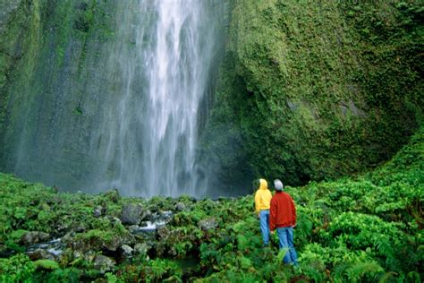 MAUI WATERFALL GUIDE 2024 | 7 Best Maui Waterfalls To Visit