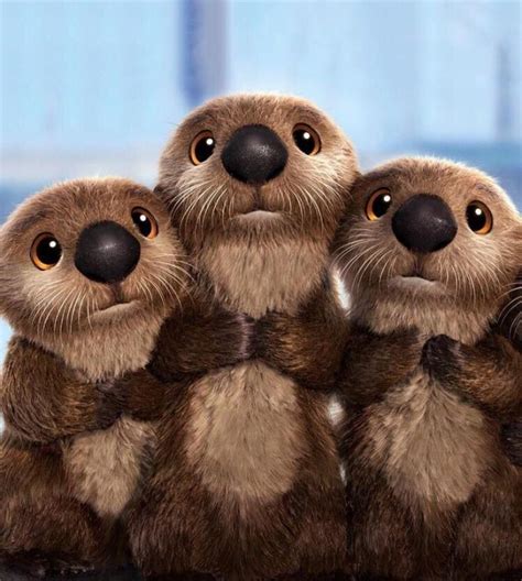 Adorable Images Of Otters - Otters are unique in many ways. - Koplo Png