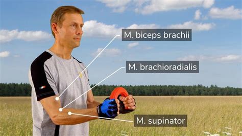 Theraband flexbar exercises - forearm training for tennis players ...