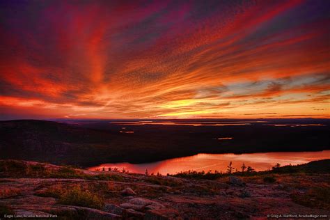 Cadillac Mountain Red - Acadia National Park