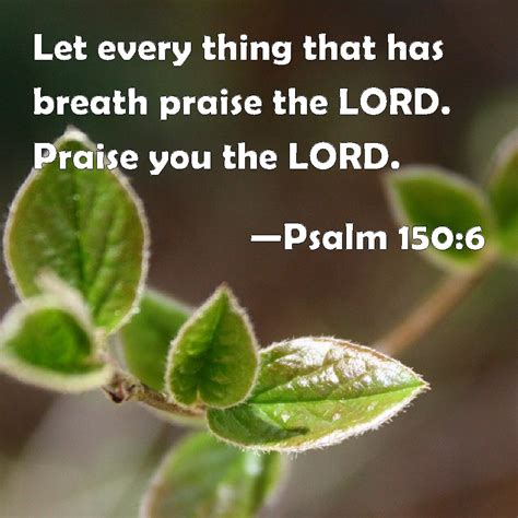 Psalm 150:6 Let every thing that has breath praise the LORD. Praise you the LORD.