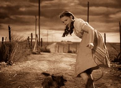 THE WIZARD OF OZ (1939) ~ Dorothy (Judy Garland) and Toto. [GIF] | Wizard of oz tornado, Wizard ...