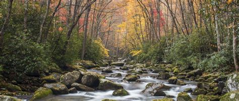 Tips for Visiting Great Smoky Mountains National Park in NC | VisitNC.com