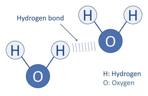 [DIAGRAM] Labeled Diagram Of Hydrogen Bonding - MYDIAGRAM.ONLINE
