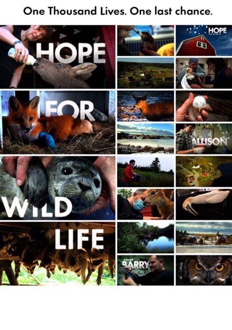 Hope for Wildlife Season 10 - watch episodes streaming online