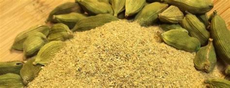 Jai Jinendra Spices & Masale CARDAMON |Green CARDAMON |Hari ELAICHI Powder 200 gm: Buy Jai ...