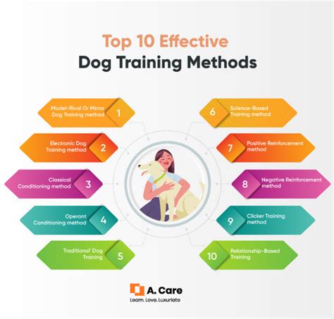 Top 10 Effective Dog Training Methods: A Complete Guide on Dog Training