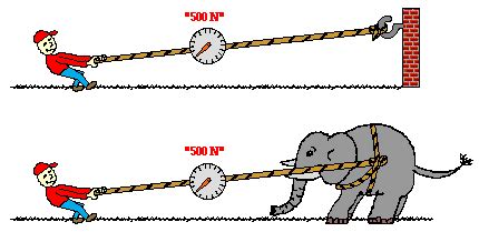 Newton's Third Law Examples