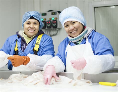 Sealaska Buys into Iceland’s IceMar and AG Seafood, Sells Off Orca Bay ...