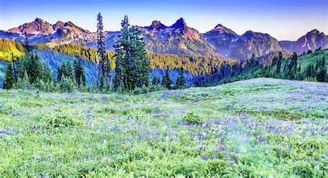 Tatoosh Range, Pinnacle Peak, Plummer Peak and The Castle, Mt. Rai Photograph by Wayne Bressler ...