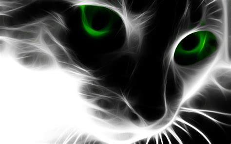 3D Cat Wallpaper - WallpaperSafari