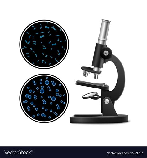 Microscope with petri dish Royalty Free Vector Image