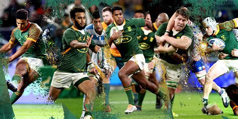 Boks lead SA Rugby Awards nominations for 2022 | SA Rugby