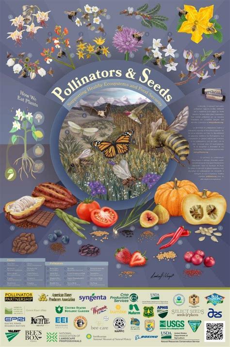 Pollinator Week – The Ecological Society of America