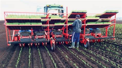 Selecting a Mechanical Transplanter | TractorExport.com