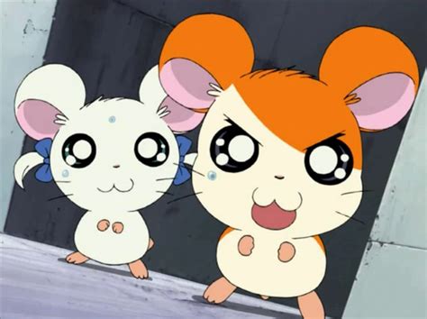 Hamtaro x Bijou (20) by cpeters1 on DeviantArt