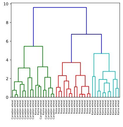 Plotting Hierarchical Clustering Dendrograms For Large Data Sets Images