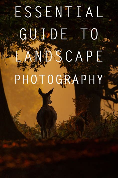 Landscape photography tips series – Artofit