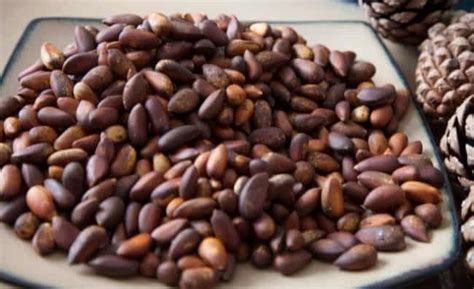 How To Shell Pinon Nuts - KitchenVile