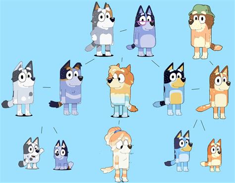 (Bluey) family tree | Cute kawaii animals, Character design, Cartoon