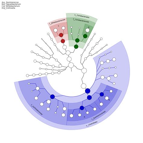 Whole-genome Shotgun Metagenomics Sequencing Data Analysis