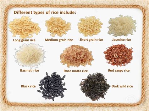 types of cereal grains