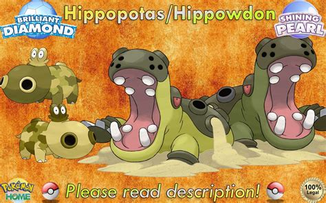 Shiny/non-shiny Hippopotas/hippowdon 6IV Brilliant - Etsy