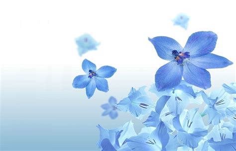 Pretty Blue Wallpapers - Wallpaper Cave