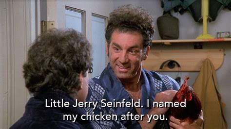 Little Jerry Seinfeld. I named my chicken after you. – Seinfeld Memes