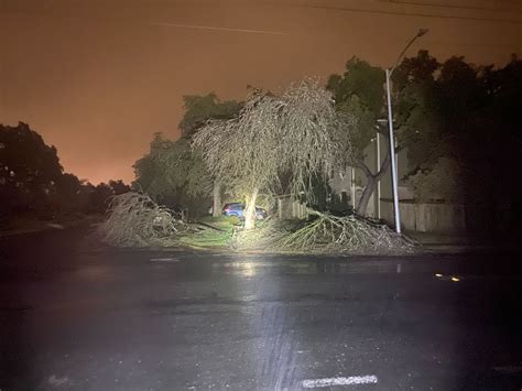 KXAN Weather: Ice storm causes trees to snap in Central Texas