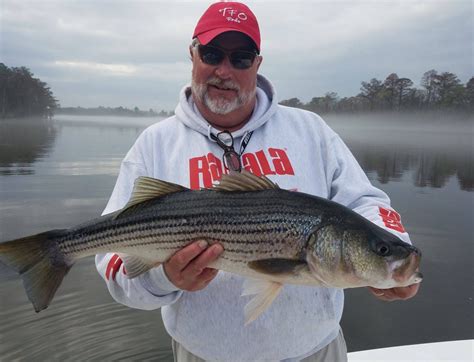 Neuse River Fishing Report - Feburary 22 2018 | PointClickFish.com