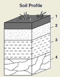 Soil Profile Diagrams Labelling