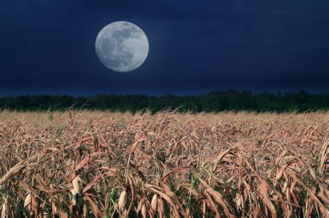 The September Full Harvest Moon (2020) | Harvest moon, Corn moon, Full moon